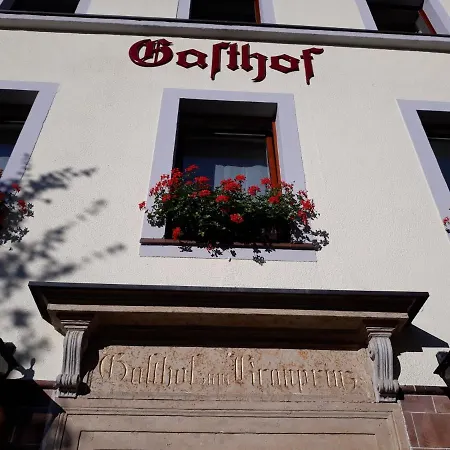 Мини-отель Hillig Bad Gottleuba-Berggiesshuebel