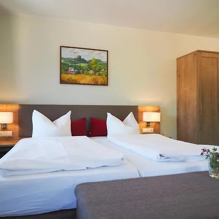 Hillig Inn Bad Gottleuba-Berggiesshuebel